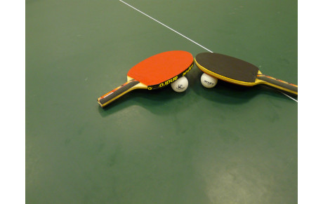 AG US FORCE Tennis de Table